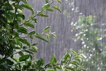 بارش باران و تگرگ در ایران از جمعه