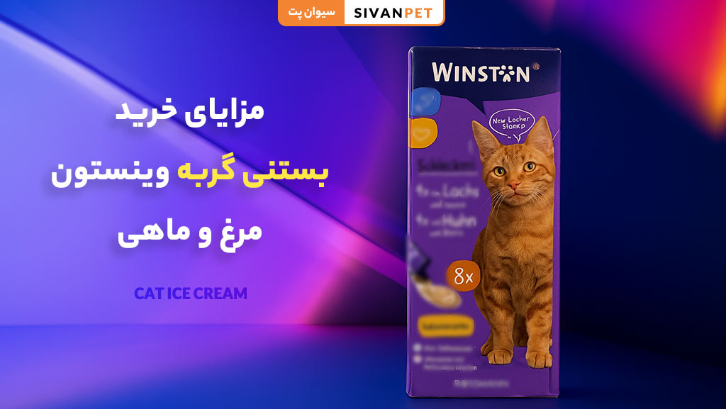 مزایای خرید بستنی گربه وینستون از سیوان پت