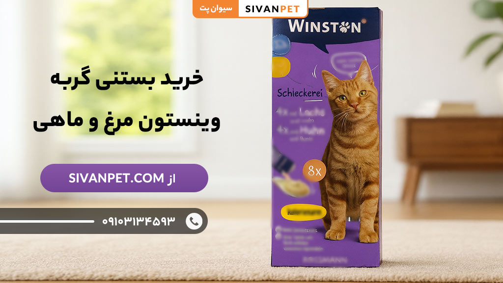 مزایای خرید  بستنی گربه وینستون
