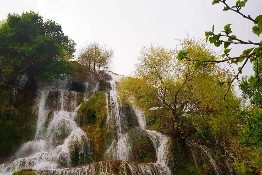 جاذبه های گردشگری نیاسر