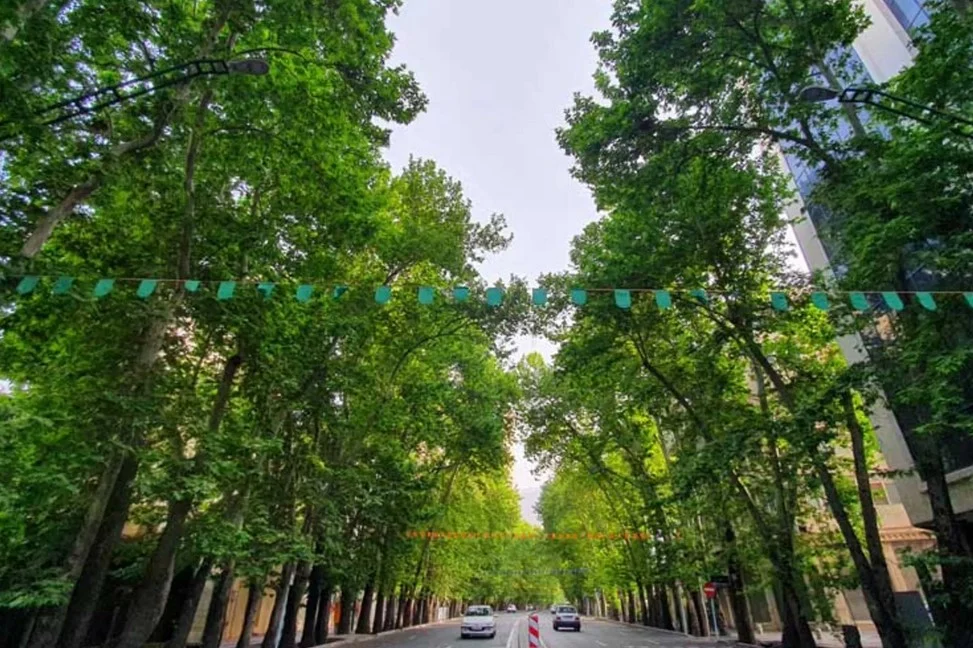 چگونه اصطلاحات خیابانی را از طریق کتاب صوتی زبان اصلی یاد بگیریم؟
