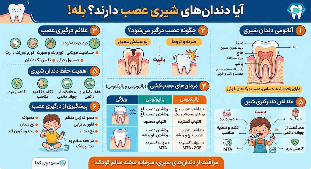 دندانپزشکی | ایمپلنت آیا دندان شیری عصب دارد