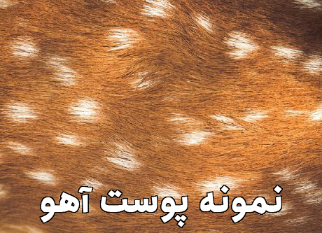 مراحل ساخت و آماده سازی حرز امام جواد چیست؟